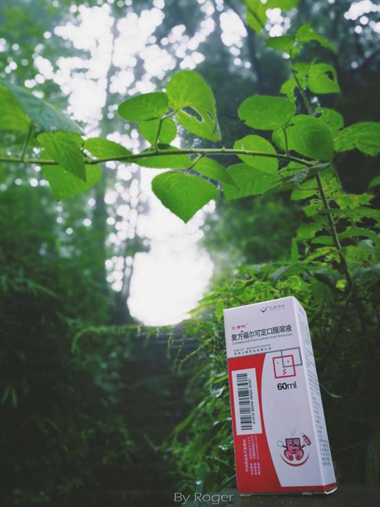 小编终于无法抑制小手掏出产品样盒,为立健佳立健克拍几张"到此一游")